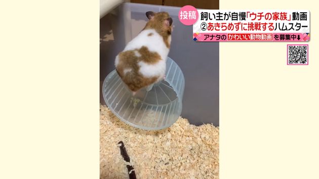 1pscmtoputvfem 1pscmtoputvfem