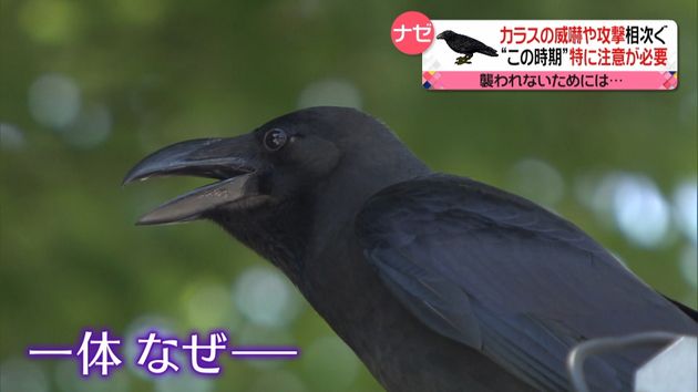 Zhjec Epg0zf2m Zhjec Epg0zf2m