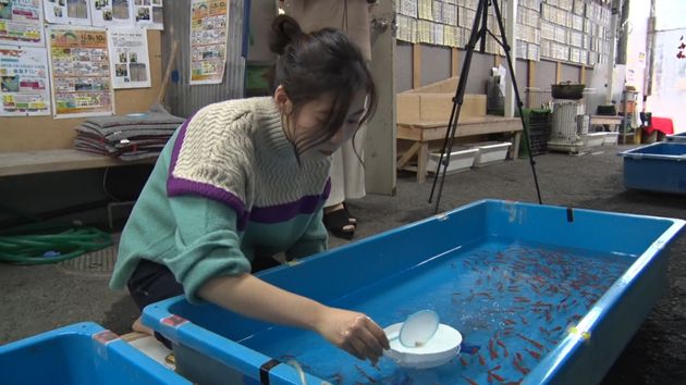 金魚すくい で大学合格 道場で技磨く